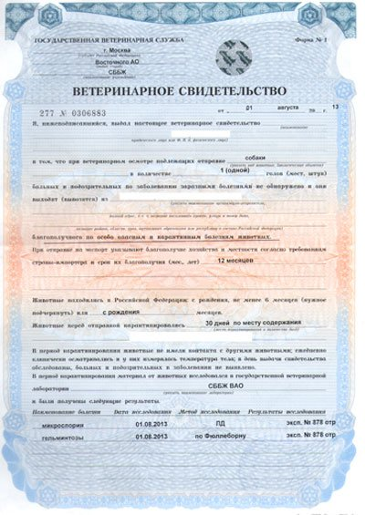 Ветеринарное свидетельство