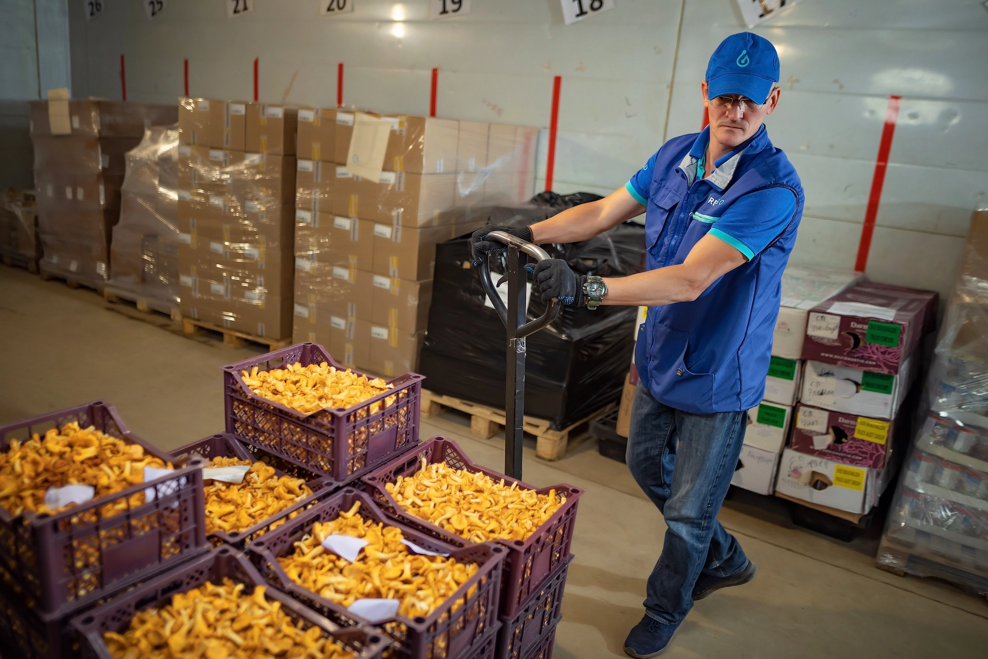 Комплекс услуг